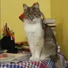 Отзыв от Лилия Аксенова